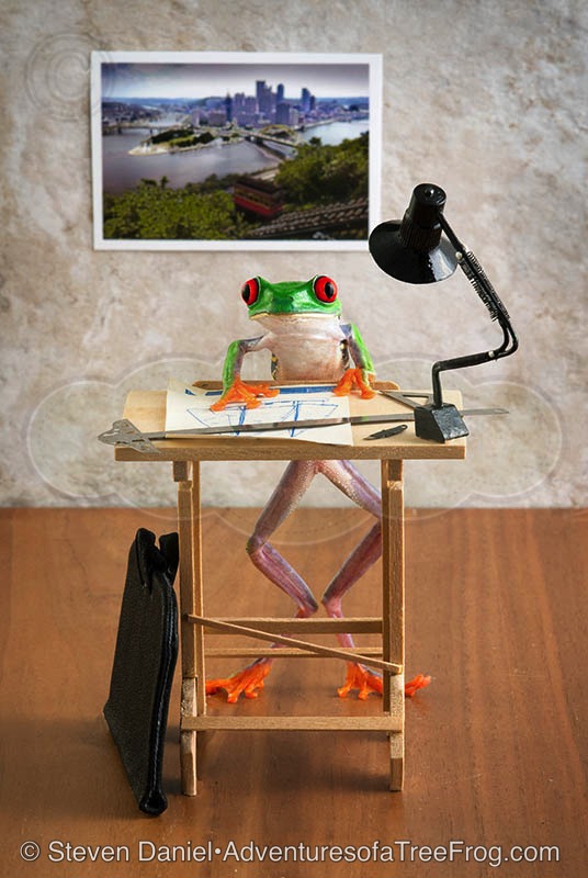 Designer Frog