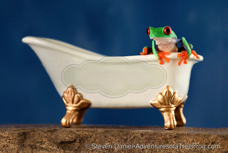 Frog Tub