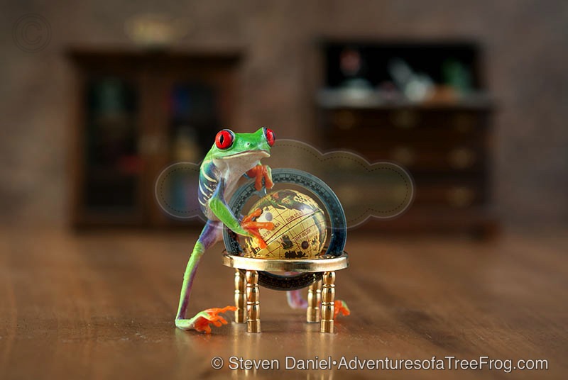 Globe Frog