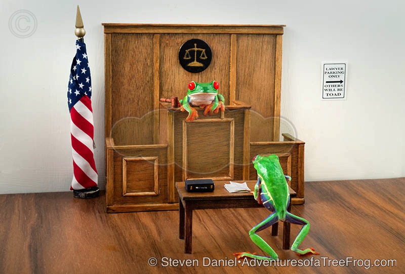 Lawyer Frog