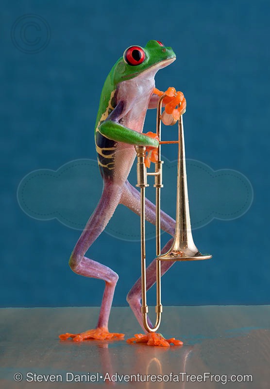 Trombone Frog